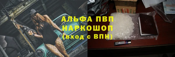 спиды Иннополис