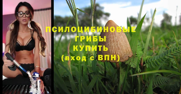 прущая мука Инта