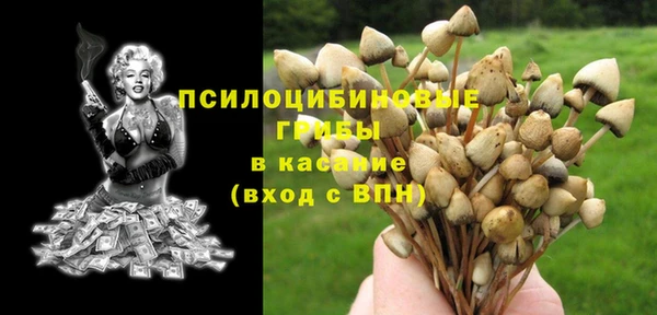 спиды Иннополис