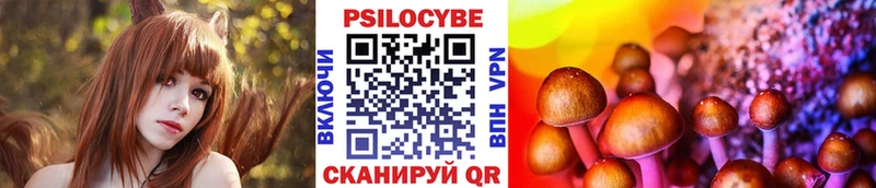 Псилоцибиновые грибы Cubensis Купить где Островной