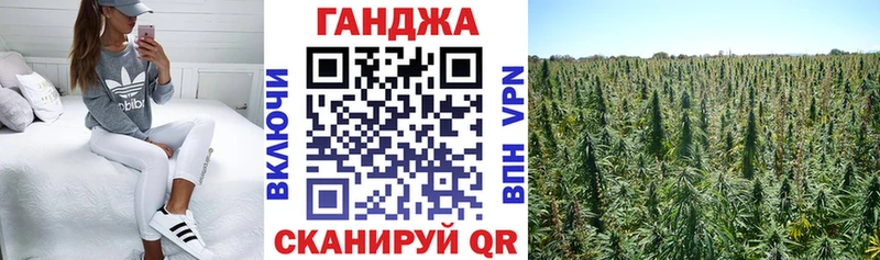 Бошки Шишки VHQ Купить закладки Островной